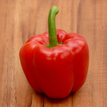 Red bell pepper - Ratatouille.com.hk