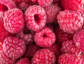 Red ripe berry raspberries