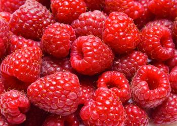 Red ripe berry raspberry