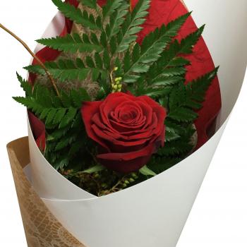 Single Red Rose Flower Delivery | Florist Wellington NZ - Flower ...