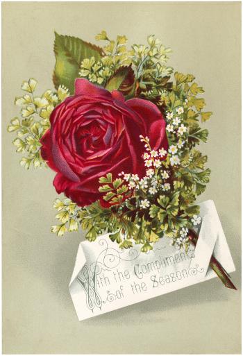Beautiful Victorian Red Rose Image! - The Graphics Fairy