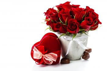 Red rose flower pots 51513 - Flowers Gifts - Festival