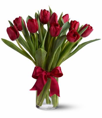 Radiantly Red Tulips in Glendale, AZ | The Tulip Tree, Inc.
