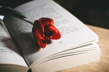 Red Tulip Flower On Book Page