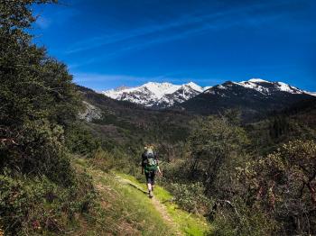 Middle Fork Trail to Redwood Meadow | Outdoor Project