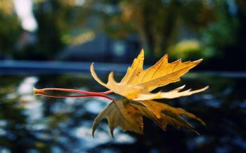 Reflection Wallpapers 9 - 2560 X 1600 | stmed.net