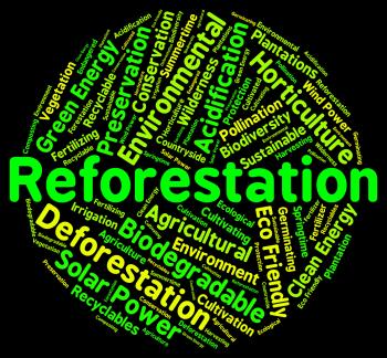 Reforestation Word Shows Again Woodlands And Words