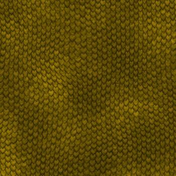 Reptiles skin texture, skin reptiles, snakes, lizard skin, background