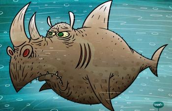 My son told me he was a Rhinoceros Shark with two “Owwies” on his ...