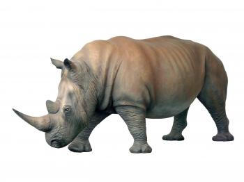 RHINOCEROS STATUE - LIFE SIZE