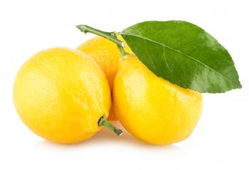 Ripe Lemons with Leaf