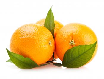 Ripe Oranges with Leaves