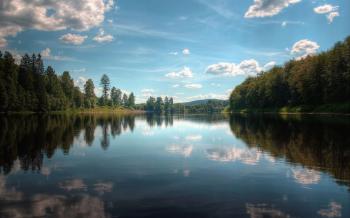 River's Edge: Nature: Forest River, desktop wallpaper nr. 56567 by ...