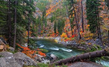 Slope, trees, rocks, river / 2048 x 1277 / Mountains / Photography ...