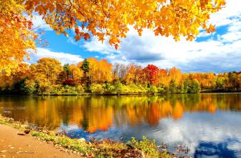 Lakes: Autumn Reflections Lake Serenity Branches Calm Quiet Sky ...