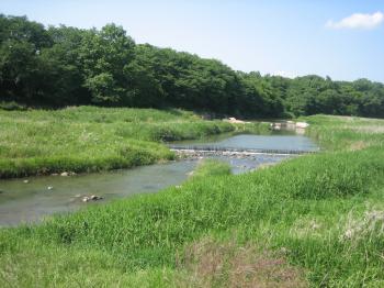 File:Korea-Gyeongju-River bank-03.jpg - Wikimedia Commons