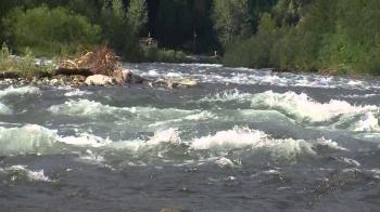 Relaxing sound River water running river sound Nature Sounds Study ...