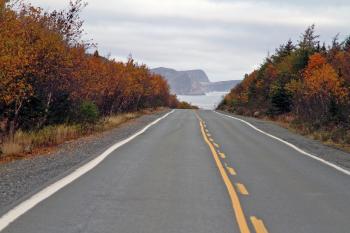 Road in autumn