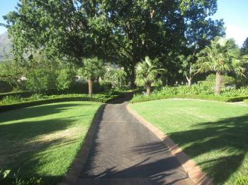 Road in the green garden