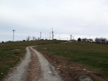 Bearwallow Mountain and Blue Ridge Pastures, NC - Zach's Mild Adventures
