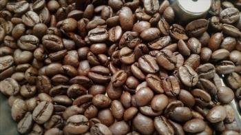 Roasted Coffee Beans