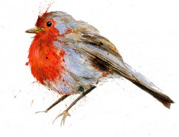 Beautiful illustration of a robin by Suzie Foster | birds ...