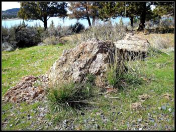 54 best Rocks and Boulders images on Pinterest | Allium, Amazing ...