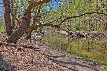 Rock Creek Stream & Foliage - HDR