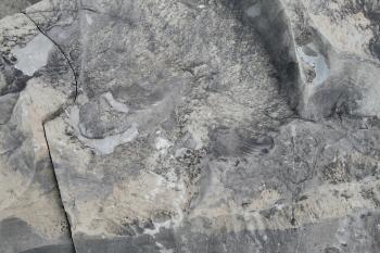 Rock Texture Free Stock Photo - Public Domain Pictures