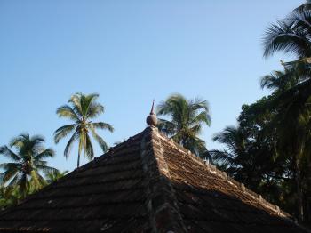 Roof and trees
