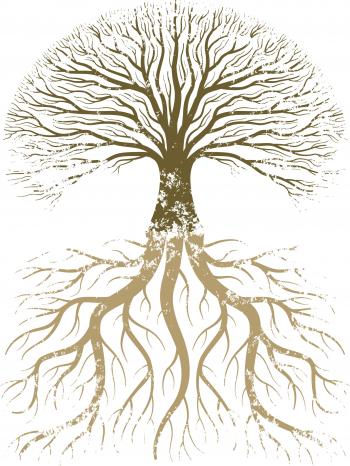 grunge tree w-roots | Old House | Pinterest | Roots, Sculpture clay ...
