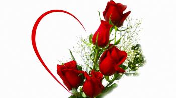 New Red Rose Wallpaper With Letter Backgrounds High Resolution Of ...