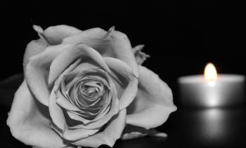 Rose and a Candle