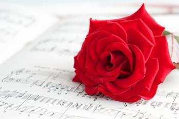 Background with Red Rose and Music Sheet | Gallery Yopriceville ...