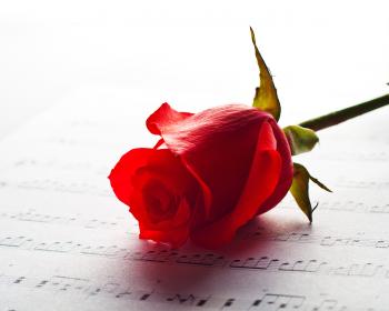 Rose and Music