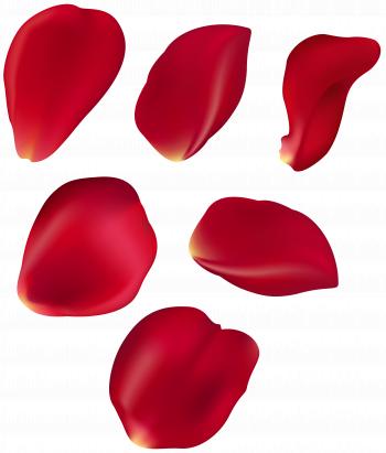 Rose Petal Set Red Transparent Clip Art | Gallery Yopriceville ...