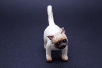 Rubber toy cat