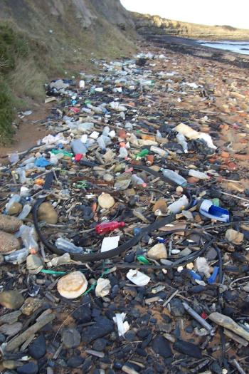 File:Snab rubbish.jpg - Wikipedia