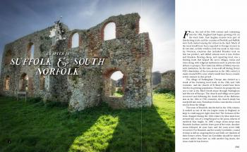 Wild Ruins Book - Wild Things Publishing