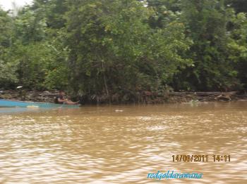 redgoldarawana: River and Life (Batang Mukah)