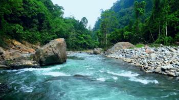 Stony bed of beautiful aquamarine mountain river running in dense ...