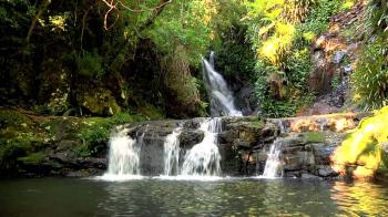 1 HOUR of Nature Sounds: Running Water, Bats, Birds, Crickets ...