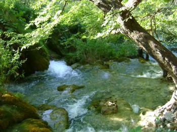 Waterfalls: Water Waterfall Clear Running Park Small Picture ...