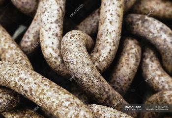 Rusted chains at Ballard Lock — Stock Photo | #124357886