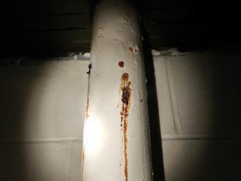 Cast iron waste piping with corosion nodes.