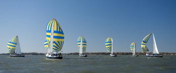 Sailboats Racing