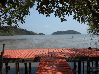 Discover the area around IVR - koh-chang-thailand-adventure-holiday.de