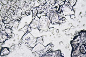 Salt under the Microscope