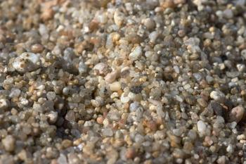 File:Sand Grains.jpg - Wikimedia Commons