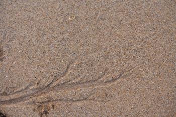 sand on the beach